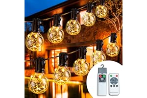 wisdom line Guirlande Lumineuse d'Extérieur, 6 Mètres, 10 Ampoules Globe, Étanche IP55, avec Télécommande, Résistant aux Températures -20°C à 50°C(Ampoule de fil de cuivre)