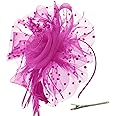 DRESHOW Fascinators Hat Flower Mesh Ribbons Feathers on a Headband and a Forked Clip Cocktail Tea Party Headwear for Girls and Women