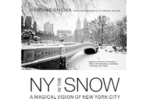 New York in the Snow: A Magical Vision of New York City