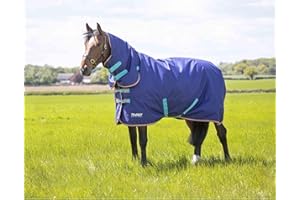 Shires Tempest Original 100g Combo Turnout Rug - Navy Blue 5'3" / 63", Navy Blue