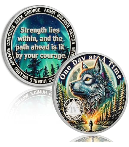 19 Years Sobriety Coin Valley River Sobriety Chip Sun Chips