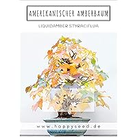 Außergewöhnliche Bonsai Samen mit hoher Keimrate - Pflanzen Samen Set für deinen eigenen Bonsai Baum (1x Amerikanischer…