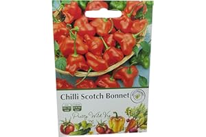 PRETTY WILD SEEDS Chilli Scotch Bonnet Seeds in Pictorial Packet from a UK Seller Perennial Hot Pepper Variety