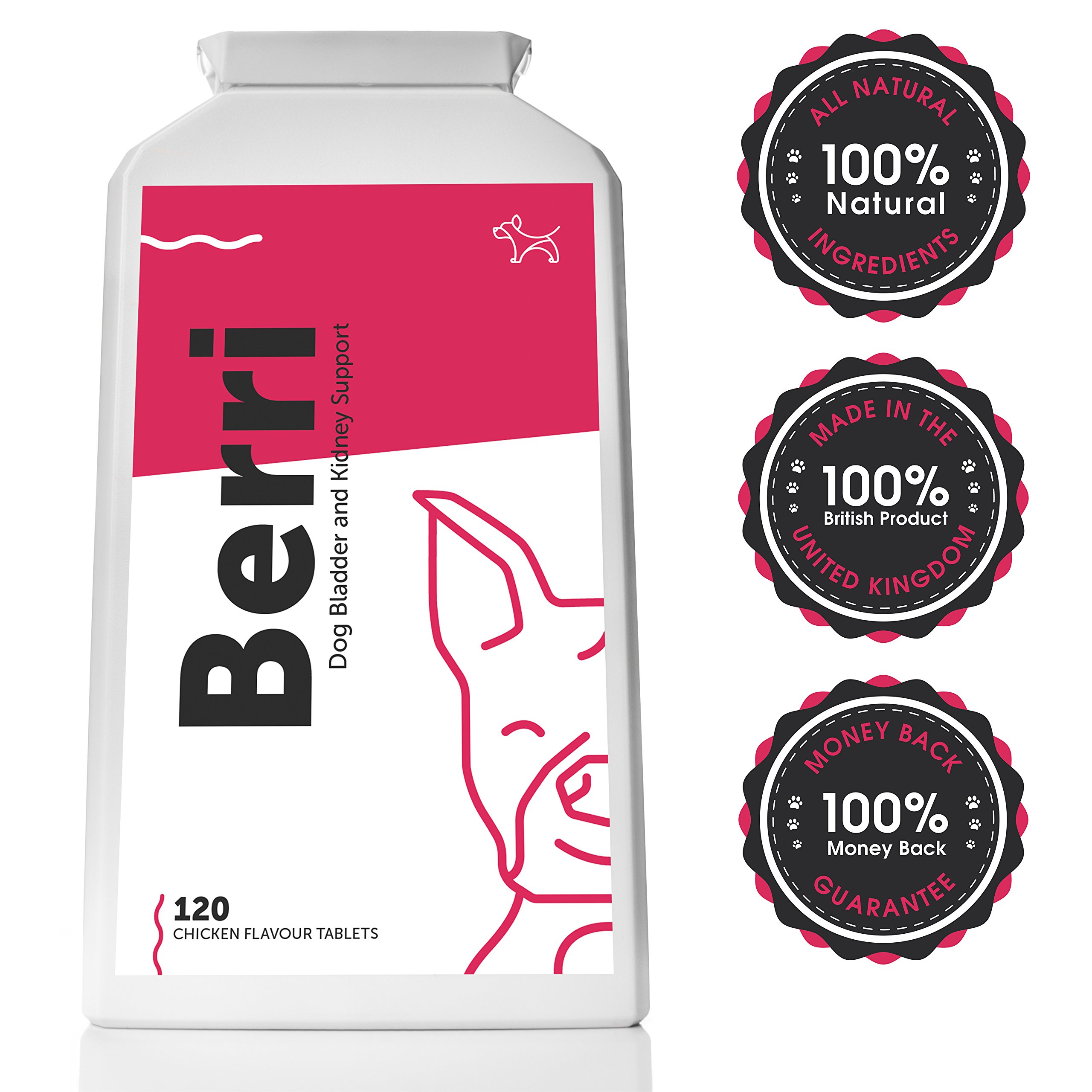 Advanced Bladder & Kidney Support for Dogs (120 Chicken Flavour