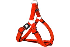 DDOXX Arnés Perro Step-In Air Mesh, Ajustable, Acolchado | Muchos Colores & Tamaños | para Perros Pequeño, Mediano y Grande | Accesorios Gato Cachorro | Naranja, M