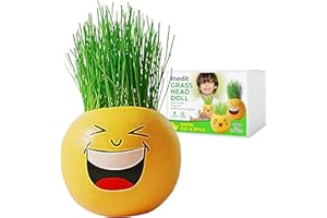 NEDIT Grow Your Own Kits - Grow Your Own Hairy Funny Smiley - Perfect Cute and Funny Gift for Men Women Kids - Fresh Grass Plant for Home and Garden Decoration
