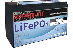 FLLEEYPOWER 10Ah 12V Batería de Litio LiFePO4 Ciclo Profundo 4000 Veces Recargable fosfato de Litio y Hierro con BMS para Sistema de Alarma, RV, Stock de Energía Solar,Aplicación Fuera de la Red