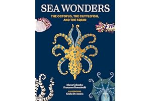 Sea Wonders: The Octopus, the Cuttlefish, and the Squid