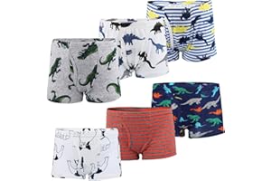 FLYISH DIRECT AolsteCell Boxer Enfant Garçon, sous-Vêtements Garçon, Boxer Garçon Boxer Slip Garçon en Coton, Lot de 6, Multicolore (Dinosaure), Taille 120 (4-5 Ans)