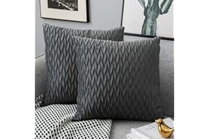 Yamonic Pack of 2 Cushion Cover Super Soft Velvet Pillow Covers Square Decorative Pillowcase for Sofa Bed Couch Bench, 20 x 20 inch, Grey