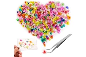 DOG'S BOOTY 561 sztuk dekoracyjnych suszonych kwiatów suszonych kwiatów na żywicę suszone kwiaty do świec zapachowych do samodzielnego wykonania mydła sztuka paznokci etui na telefon biżuteria kolczyki