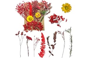 RUGBOL Flores Secas y Prensadas para Manualidades, Resina, Álbumes de Recortes, Fabricación de Joyas y Decoraciones Florales (Rojo)