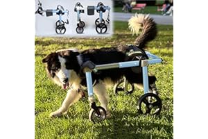 Generico Carrozzina per Cani Carrozzina per Cani di Grossa Taglia 4 Ruote/2 Ruote, Carrello di Supporto per Arti Posteriori per Animali Domestici di Taglia Media L/XL/XXL, Rimorchio per Bici per Cani