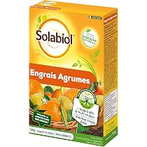 Engrais Vigne GREEN 24 - Fertilisant High-Tech NPK Pour Plants En Pot Ou Massif | 1000ml
