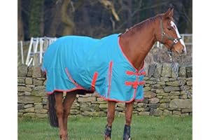 Turners Lightweight 100g Fill Waterproof Turnout Rug for Horse and Shetland Pony