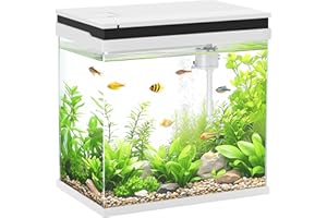 PawHut Fish Tank, 26L Glass Aquarium with Filter System, LED Lights, Water Pump, Betta Fish Tank for Goldfish, Shrimps, White