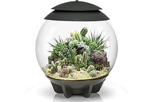 biOrb Air 30 Terrarium (Grey, 30 Litres), Perfect Beginner Terrarium With Integrated LED Lights To Encourage Natural Growth, Quick & Easy To Set Up, Fully Automated With 360-Degree View, Acrylic