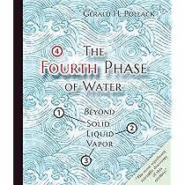 The Fourth Phase of Water: Beyond Solid, Liquid, and Vapor