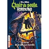 Horrorland Tome 08 L Appareil Photo Malefique Ebook Stine R L Beunat Natalie Amazon Fr