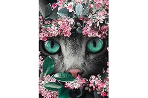 DAERLE Diamond Painting Pintura Diamante Kits Completos, Kits de Punto de Cruz para Adultos, Kit de Pintura de Diamantes, Cuadros Diamantes 5D, Artesanal para la Decoración 30X40cm Gato