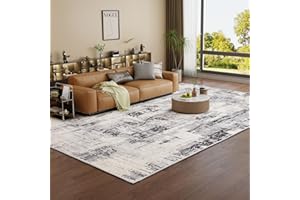 Vamcheer Alfombra Salón Pelo Corto - Alfombra de área Abstractas Modernas Imitación Cachemira,Antideslizantes y Lavable,Alfombras Decorativas para Dormitorio,Comedor,Pasillo,Interiores (Gris 300x400)