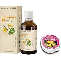 Schllkraut Pflanze, Warzenkraut, Heilpflanze, Goldwurz : Amazon.de: Garten