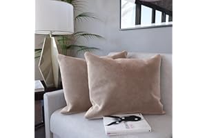 ARREDITALY Set di 2 Federe Per Cuscini In Velluto Morbido e Resistente Copricuscini Per Divano Poltrona Soggiorno Arredo Arredamento Casa Design Moderno Elegante Cerniera Invisibile (60 x 60 cm, Beige)