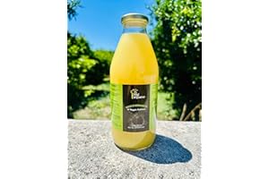 VAL D'ESARO Succo di bergamotto 100% Puro - Non da concentrato - Senza Conservanti - Made in Calabria - Alto contenuto di antiossidanti - Bottiglia da 0,75 - Speciale imballo brevettato Anti-Rottura (1 Bottiglia)
