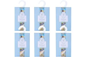 GOPERFUMME 6pcs Profuma Armadio Vestiti, Profumatori Armadio e Cassetti, Profumo Aromi Sacchetti Lavanda Profumati per Armadio Cassetti Armadietti, Profumatore Auto, Scarpiera Deodorante Armadio (6Oceano)