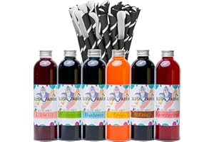 HOPSER FOOD FUN Jarabe party set 6 x 250ml y 40 pajitas de cuchara de papel para granizados, bebidas | Haz tú mismo un helado fangoso | Granizadora concentrada 1:5, sin necesidad de añadir azúcar