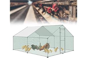 TRMLBE Pollaio per piccoli animali, resistente all'inverno, 3 x 4 x 2 m, pollaio, in acciaio zincato, con tetto parasole e lucchetto per conigli, pollame, piccoli animali