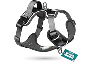 Embark Pets Adventure Dog Harness, No Pull Dog Harness with 2 Leash Clips, Medium Anti Pull Front & Back with Control Handle, Adjustable, Soft & Padded