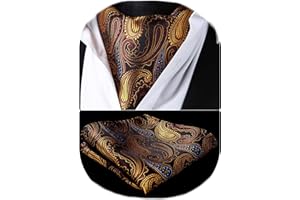 HISDERN Cravatta Ascot Uomo Cravatte E Fazzoletto Set Cravatta A Paisley Fiori Formale Matrimonio Elegante Cravatta Jacquard Sciarpa Ascot Uomo