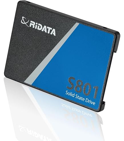 Amazon.in: Buy Rise Mode SSD Sata III 256GB Internal Solid State