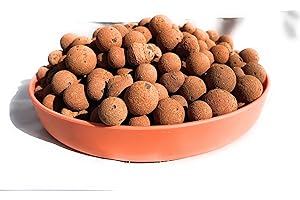 Mokuzai LECA Ball Pebbles: Hydroponic Expanded Horticultural Clay Lightweight Aggregate Pellets (3 Litres)