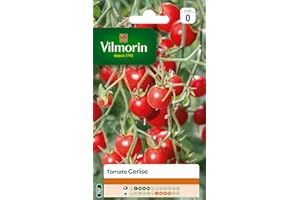 Vilmorin 3974040 Tomate cerise Rouge