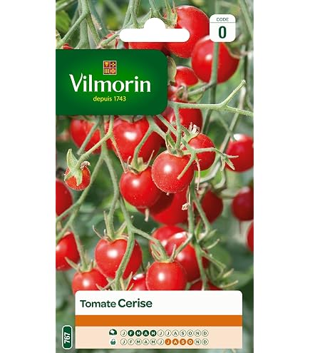 Vilmorin - Pomodoro Harmony - varietà precoce - vigoroso - resa fino a 2-4 kg per piede- Tipo cocktail - Carne succosa e gustosa - Resistente alle malattie - Ideale per aperitivo