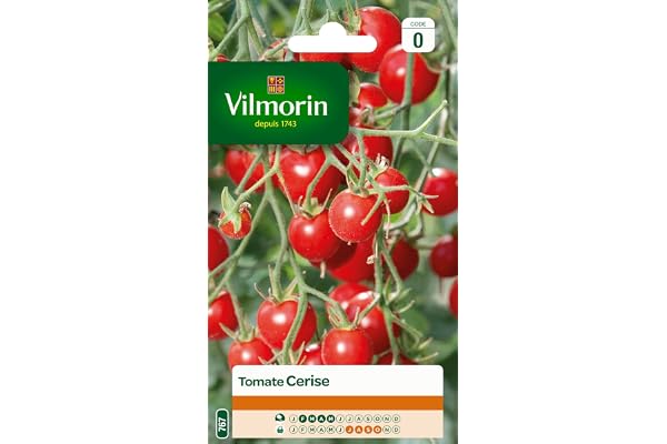Vilmorin 3974040 Tomate cerise Rouge