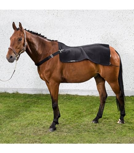 Collo Per Coperta Fleece Per Cavalli - Taglia L, Nero, In Poliestere, Con Chiusura A Scatto - Foto 10