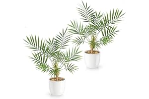 PASCH® Zestaw 2 sztucznych palm Areca (35 cm) w białych doniczkach ceramicznych: sztuczne rośliny jak prawdziwe | sztuczne rośliny w doniczce | sztuczna palma | sztuczne kwiaty w doniczce | sztuczna