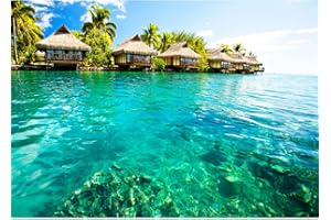 Runa Art Papel tapiz fotográfico Playa del mar Caribe 352 x 250 cm Lana Fondo De Pantalla XXL Moderna Decoración De Pared Sala Cuarto Oficina Salón Verde azul 9011011c