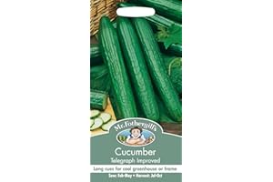 MR FOTHERGILLS Mr Fothergill's Cucumber Telegraph Improved