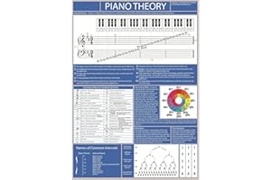 BIRDS PIANO ACADEMY The Piano Theory Poster - Learn Piano Music Notation | Piano and Keyboard Practise Aid (A2 Size Rolled)