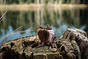 ‎FISHSTONE FISHSTONE’s Inline-Steinmontage fürs Ablegen vom Boot und kurze Würfe, Drillen an freier Schnur | ZIP-KIT Universal Stone Inline Sinker | Karpfenangeln, Flussangeln | Alternative zum Angelblei