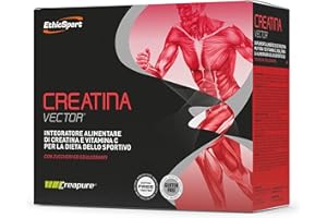 EthicSport - Creatina Vector - Confezione da 20 buste x 8 g - Integratore alimentare di Creatina e Vitamina C per la dieta dello sportivo