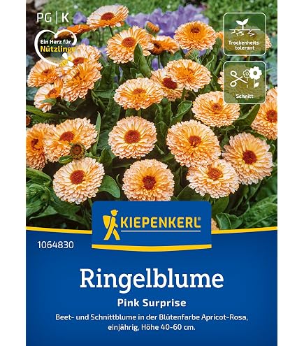 Ringelblume Samen Französischer Zwerg Double Bonita Mix – Doppelblütig, Bunte Farben, Für Beete & Töpfe