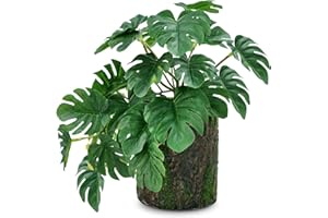 ROLLWAY Planta Artificial Decorativa Planta Falsa de Saxifraga Stolonifera Tricolor Plantas Artificiales Pequeña en Maceta Fake Plants para Interior Exterior, Decoración de Hogar Oficina (Tipo D)