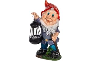 ‎BIRENDY Birendy wunderschöne Gartenzwerge - Verschiedene Motive - auch mit LED Solar-Beleuchtung (Mit Stock und LED H:33cm)