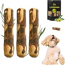 Hondenjas | Heeft je hond een jas nodig