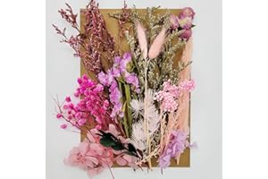 OWOAOOWL Natürliche Getrocknete Blumen,Trockenblumen Set,DIY Gepresste Blumen,Echte Getrocknete Gepresste Blumen,Trockenblumen Resin,Getrocknete Blumen für Kunst DIY Harz Scrapbooking Handwerk Karten Machen